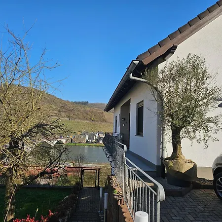 Mv Roemerlodge Mit Einmaligem Moselpanoramablick *